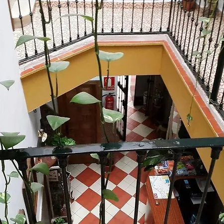 El Rincon De Carlota * Sevilla