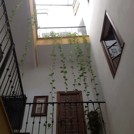 El Rincon De Carlota Konukevi